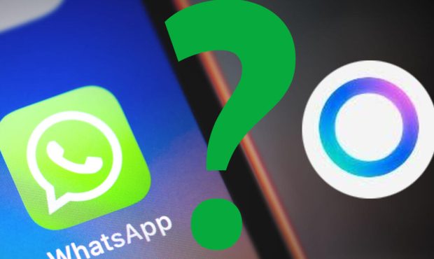 WhatsApp: Colorful Circle با کاربران بیشتر و بیشتر ظاهر می شود – زیرا او در آنجا است WhatsApp: Colorful Circle با کاربران بیشتر و بیشتر ظاهر می شود – زیرا او در آنجا است