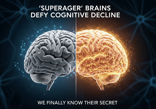 مغز «فوق‌سالمندان» در برابر زوال شناختی مقاومت می‌کنه. بالاخره راز اونا رو می‌دونیم.